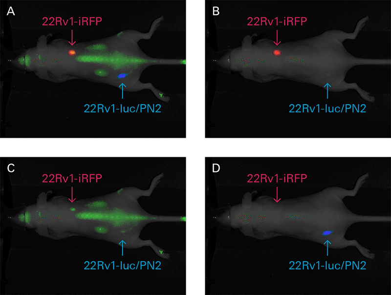 figure 1b