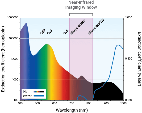 NIR imaging window graph