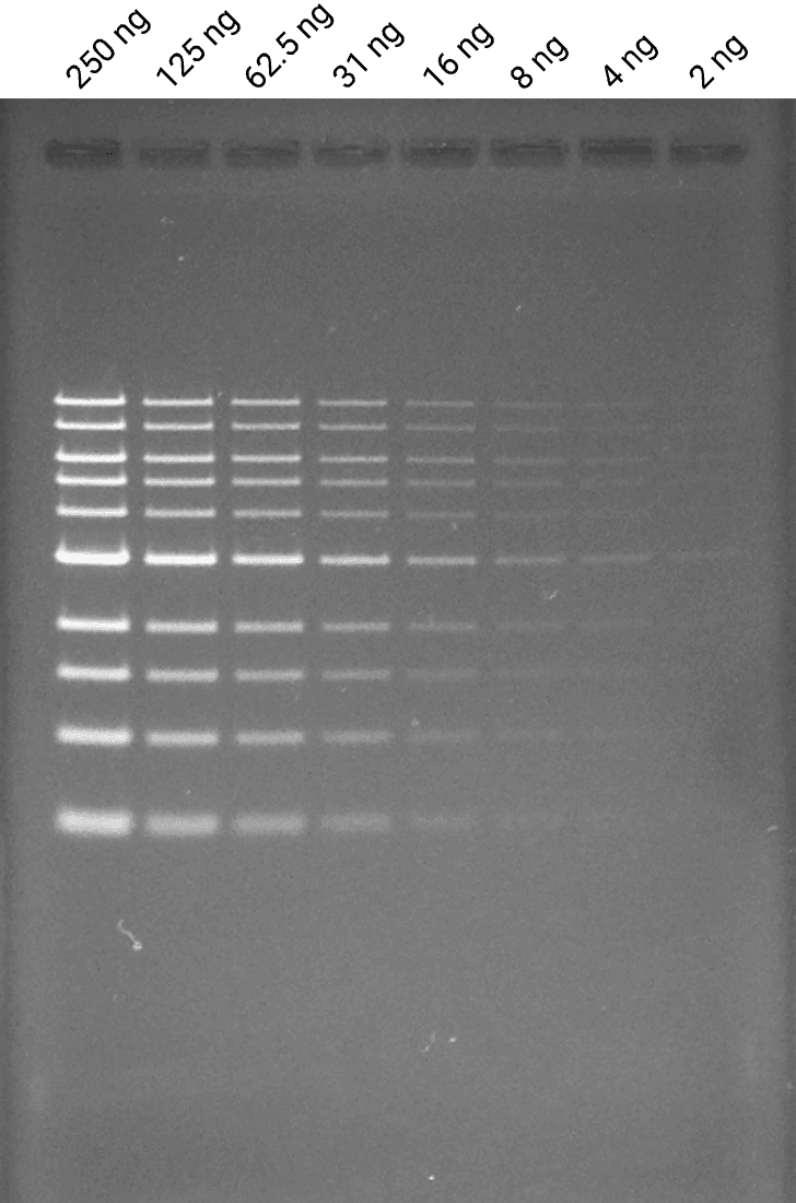 ethidium bromide data