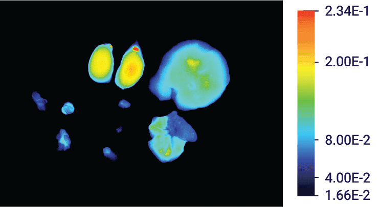 Signals in tissue samples