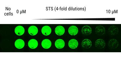 figure 1b