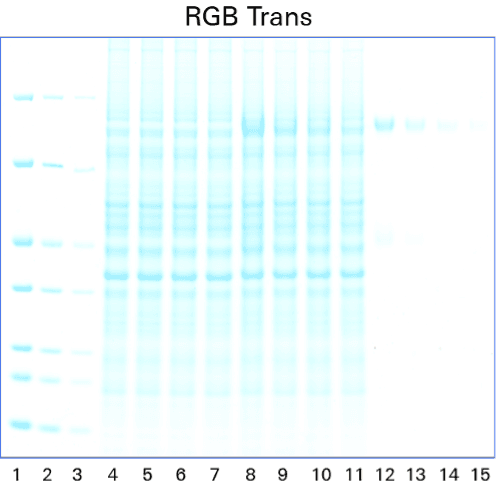 figure 1 RGB Trans