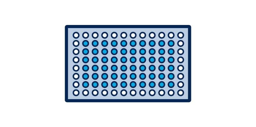 cells cultured in microplate