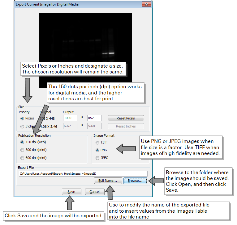 Image Studio 5.0 Export Dialog annotations