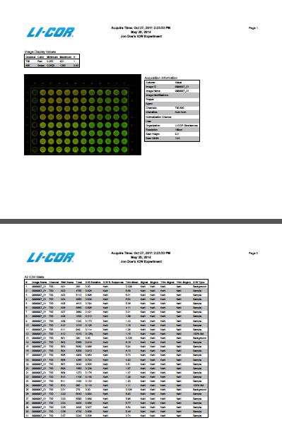 Image Studio lab book In-Cell Western analysis example