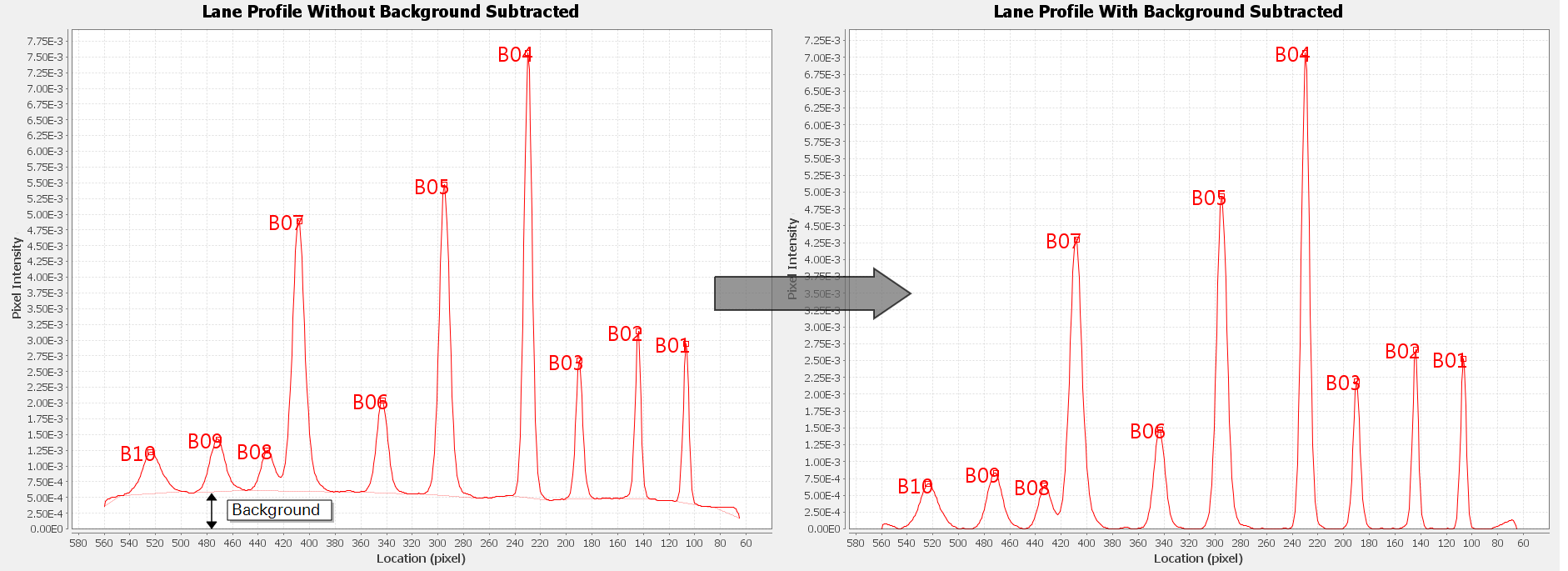 Image Studio lane profile before after background subtraction